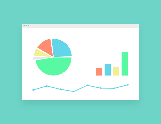 SEO servis