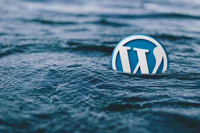 Tvorba webových stránek Wordpress Tvorba webových stránek Wordpress