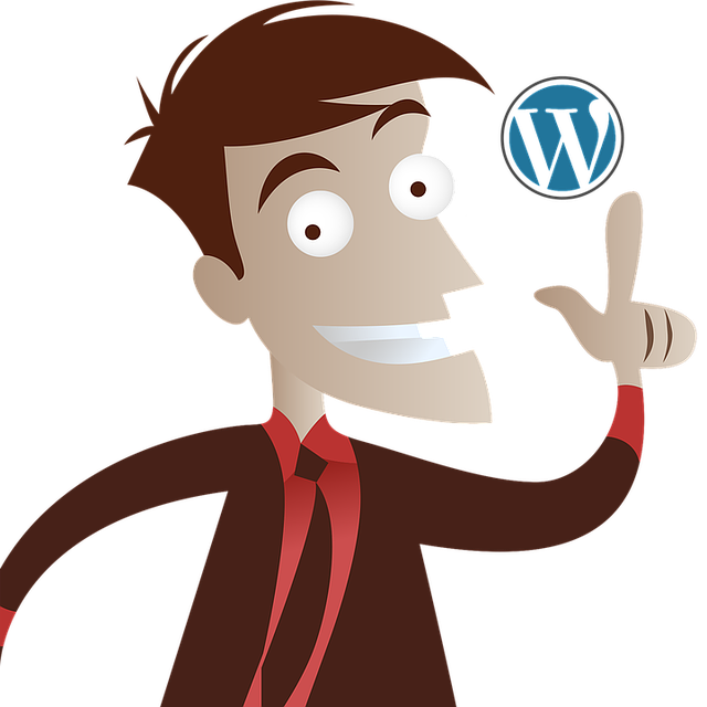 Tvorba webových stránek Wordpress Tvorba webových stránek Wordpress
