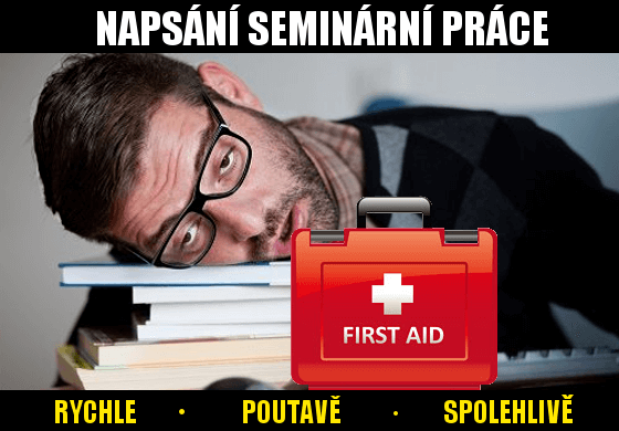 Napíšu odbornou práci na libovolné téma