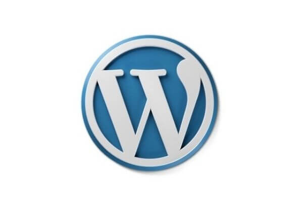 Zajistím doménu, hosting a instalaci Wordpressu