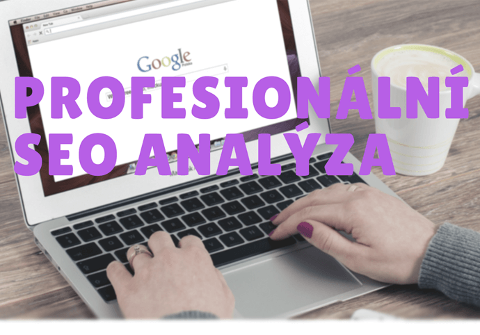 Profesionální SEO Analýza pro Váš web