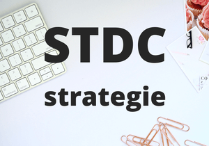 Strategie See - Think - Do - Care | Chcete zvýšit obrat?