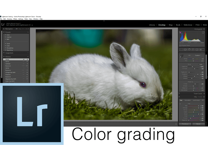 Úprava fotografií - Color Grading