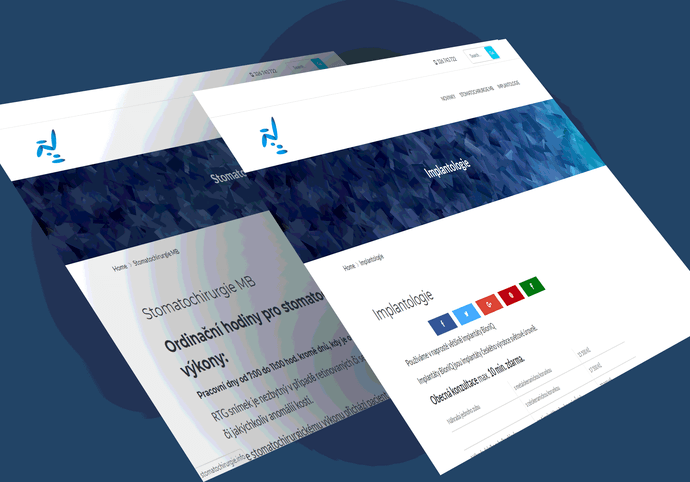 Naprogramuji WP web