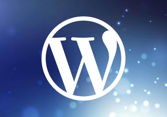 Nainstaluji vám Wordpress na váš web a optimalizuji rychlost