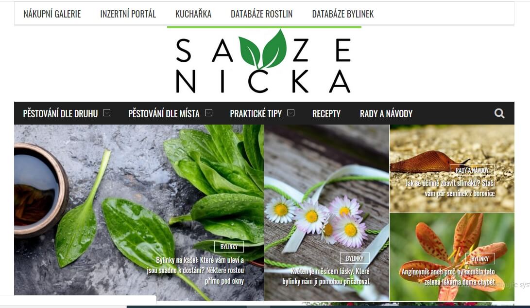 Vložení PR článku na web sazenicka.cz