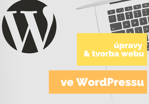Úpravy/tvorba webu ve WordPressu