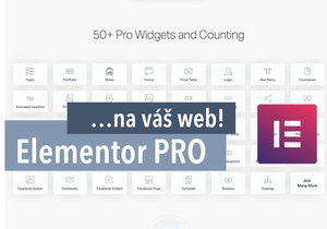 Licence pluginu Elementor Pro na TŘI Wordpress weby!