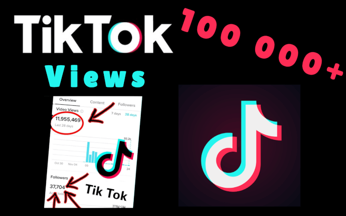TikTok Views 100 000+