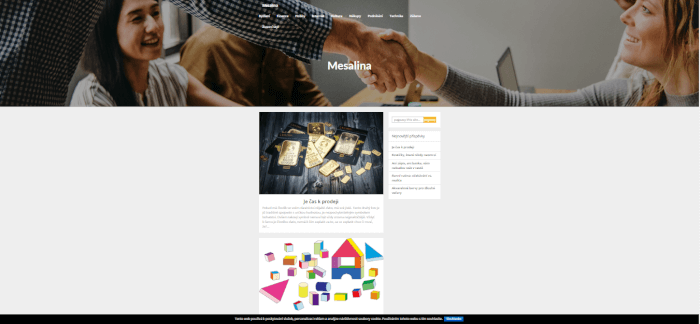 Publikace PR článku do magazínu mesalina.cz