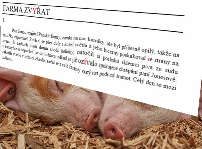 Korektury / stylistické úpravy / pravopis / formátování...