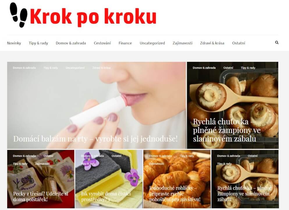 Publikace na Krokpokroku.eu