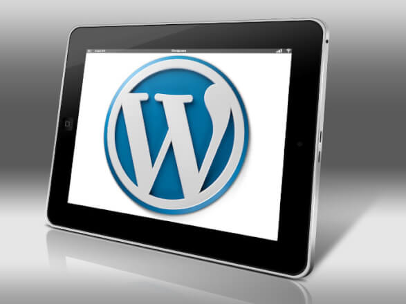 Instalace WordPress + Šablony + Pluginů