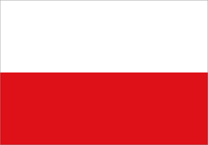 Kvalitní překlad z PL do ČJ i naopak