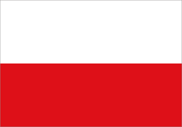 Kvalitní překlad z PL do ČJ i naopak