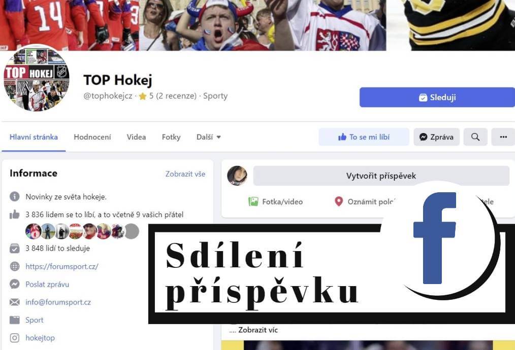 Sdílení na hokejové FB stránce TOP Hokej