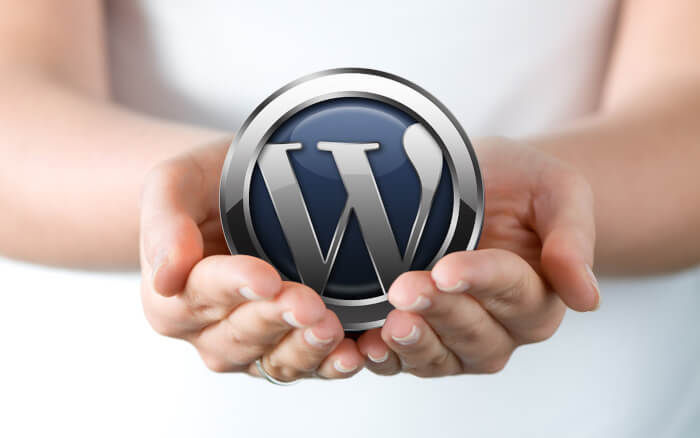 Správa Wordpress webu