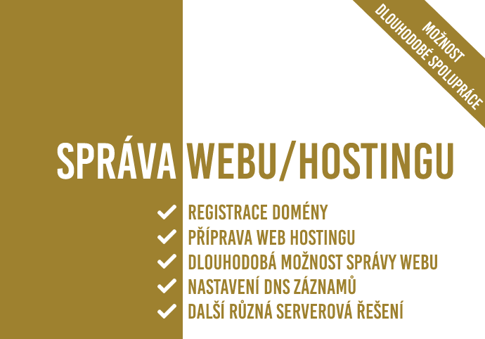 Správa webu/hostingu (příprava domény, web hostingu, DNS..)