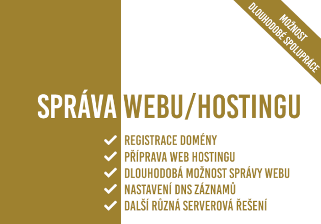 Správa webu/hostingu (příprava domény, web hostingu, DNS..)