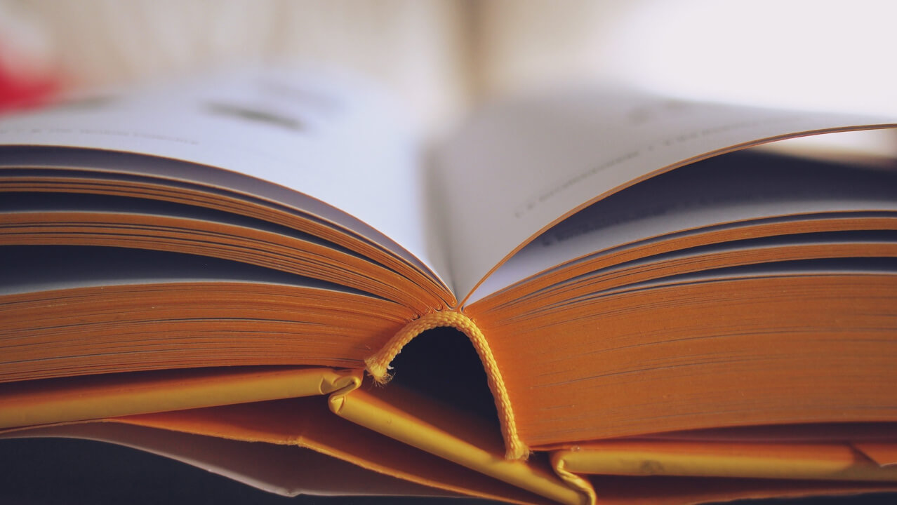 Školní práce - ČJ (Literatura), ZŠ, SŠ