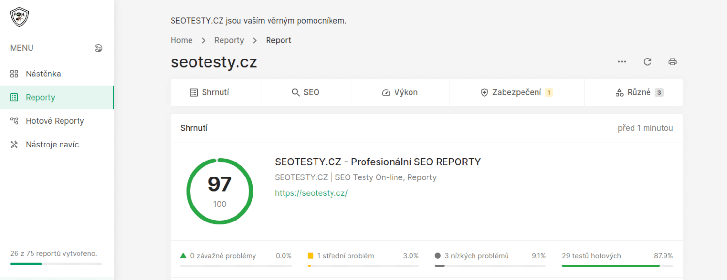 SEO REPORTY pro Majitelé i Agentury - prostředek navíc