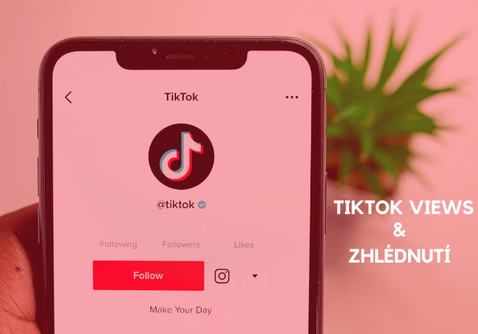 ▷ TikTok views (zhlédnutí) od 182 Kč pro váš TikTok profil