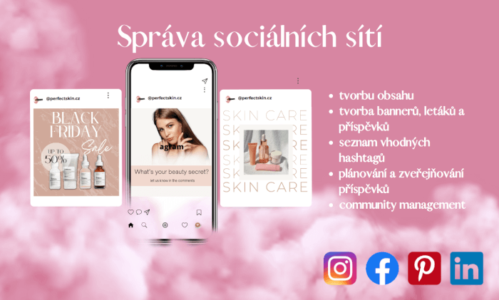 Správa sociálních sítí