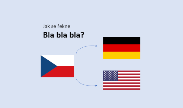 Kvalitní překlad do AJ a NJ rodilým mluvčím