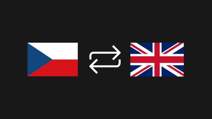 Rychlý a přesný překlad z/do angličtiny