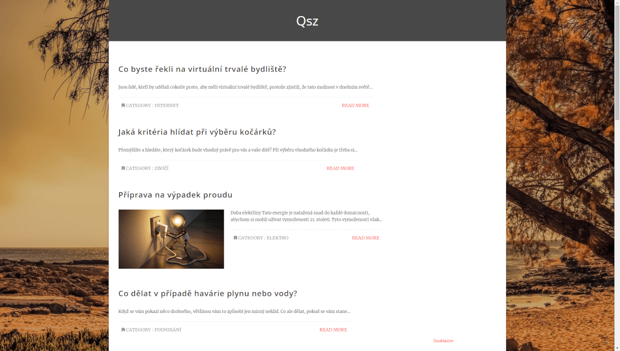 Publikace PR článku do magazínu qsz.cz