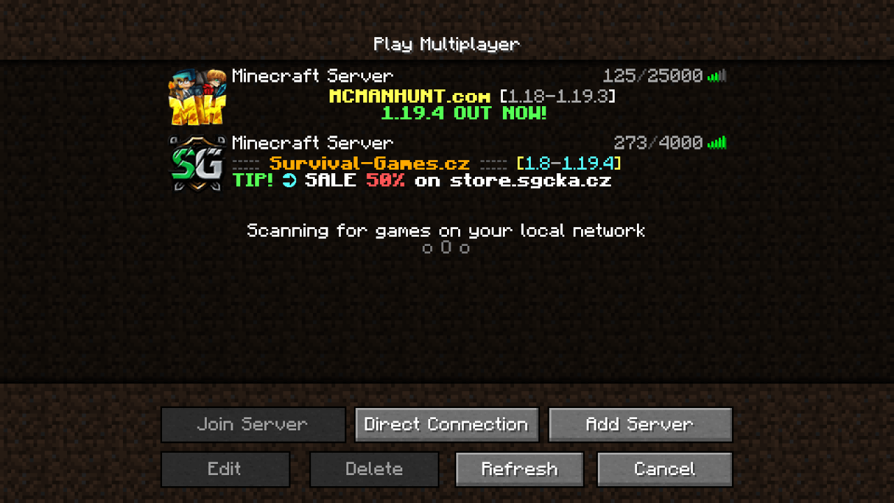 Minecraft server developer