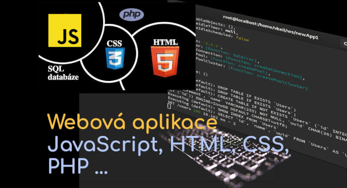 Naprogramuji JavaScript aplikaci (webová / backend API)