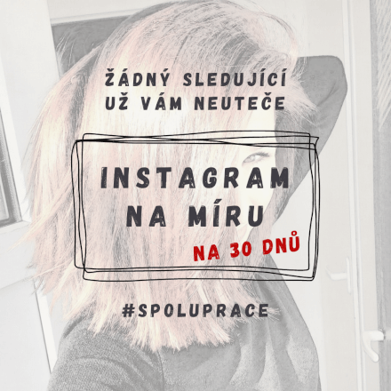 Správa INSTAGRAM profilu - 30 dnů 