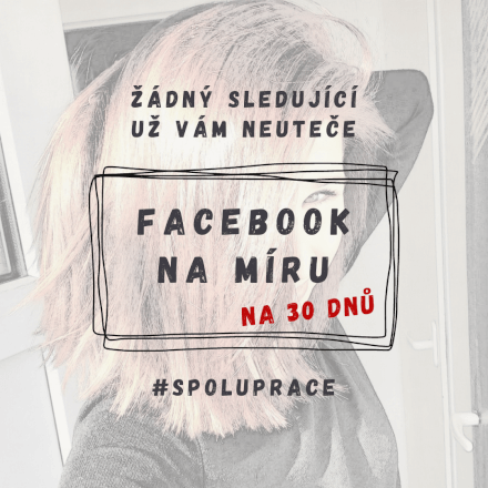 Správa FACEBOOK profilu - 30 dnů
