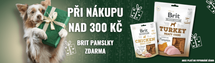 Banner pro váš web