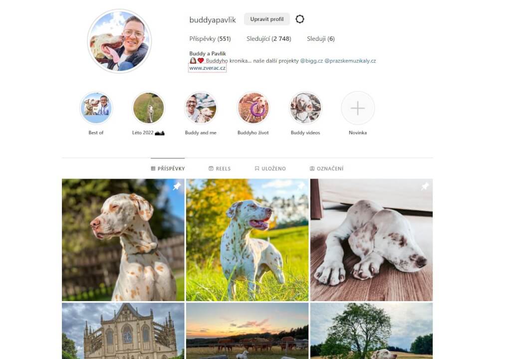 Reklama ve stories na našem IG + odkaz