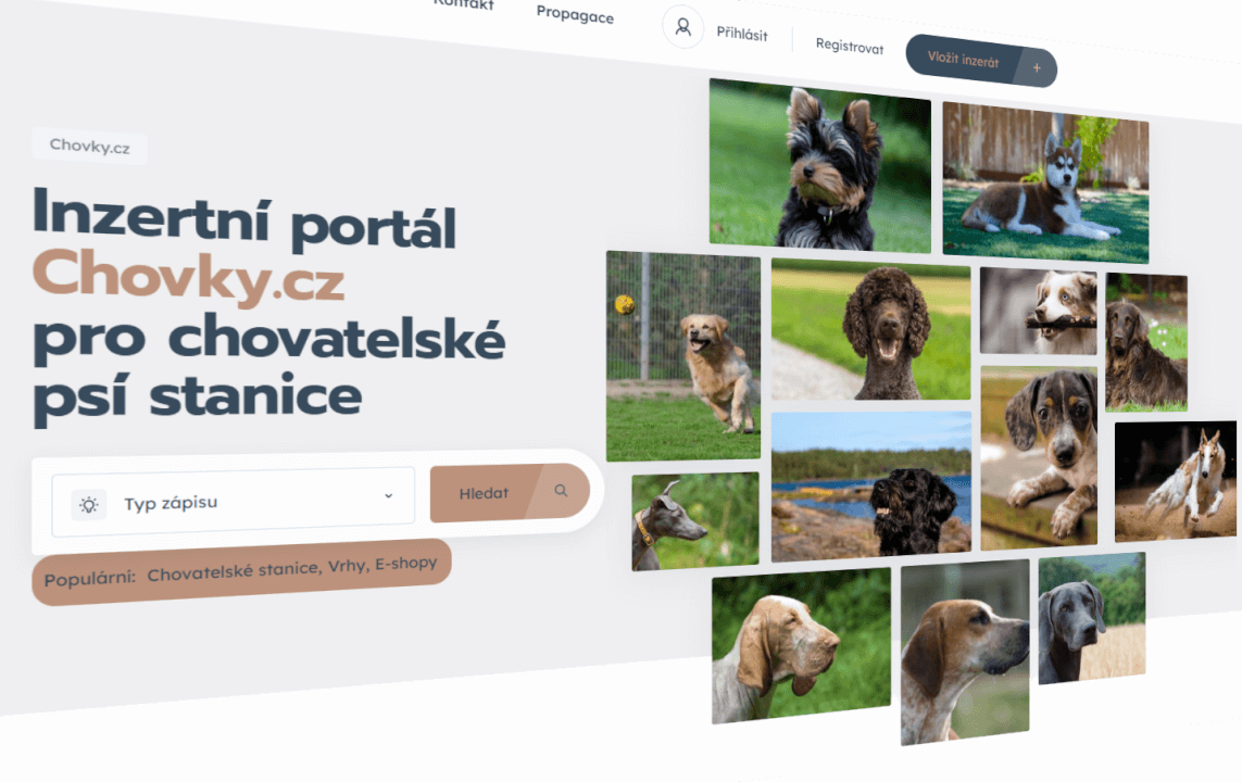Publikace článku na téma psi, chovy, výcvik, pomůcky atd...