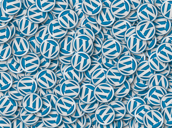 Tovorba úpravy plugynů pro wordpress
