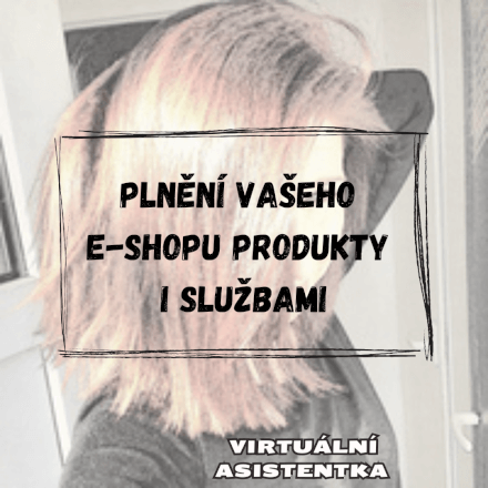 Plnění vašeho e-shopu produkty či službami