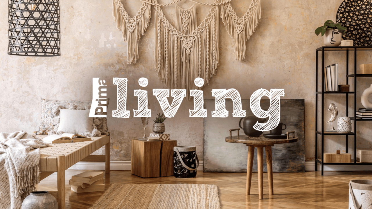 Zpětný odkaz z Living.iPrima.cz | 370K RU/měs. | Do 24 h