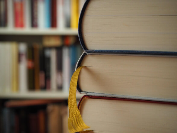 Pomoc s vypracováním eseje, případové či aplikační studie