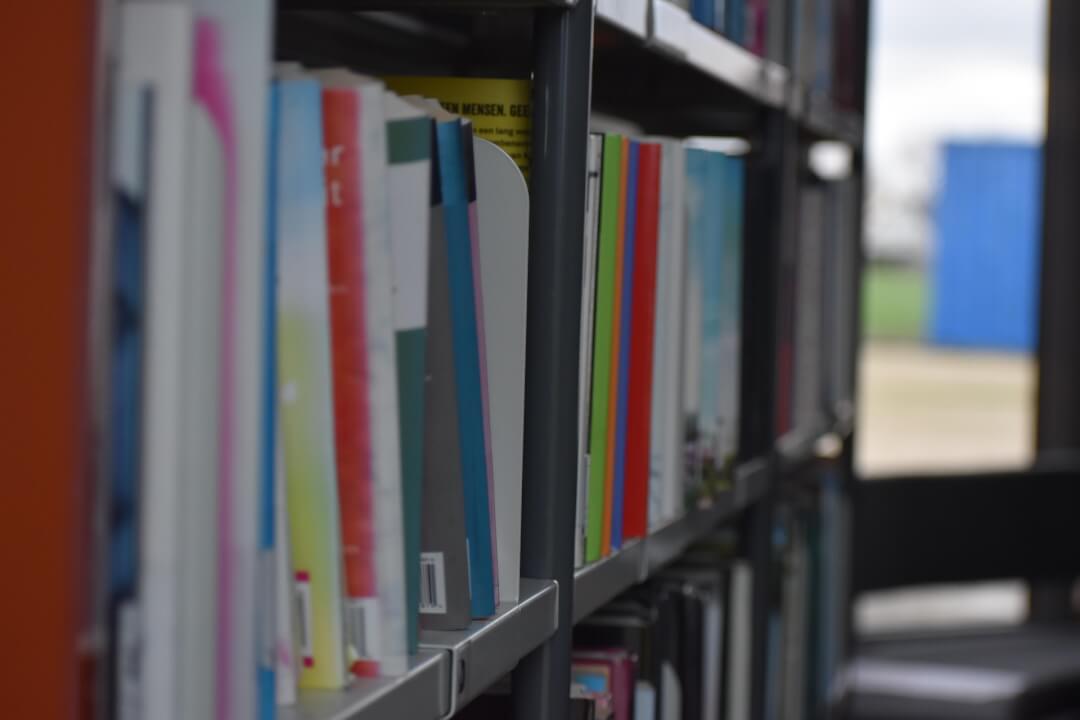 Pomoc s vypracováním literární rešerše a semestrální práce