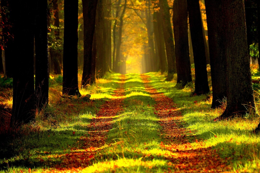 Nahraju pro vás jemnou meditační nahrávku nebo afirmaci 