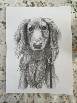 Realistická kresba podle předlohy