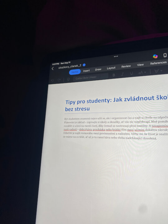 SEO článek/ Texty na web a podobné 