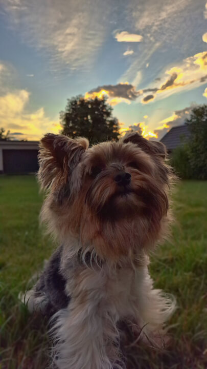 Profesionální úprava fotek