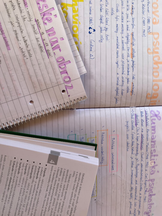 Výpomoc se školou - prezentace, eseje, rozbory... (Čj+Aj)