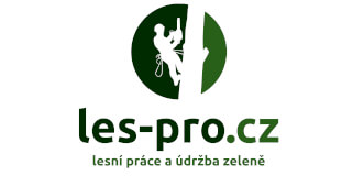 Profesionální logo ve křivkách