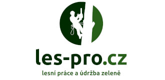 Profesionální logo ve křivkách